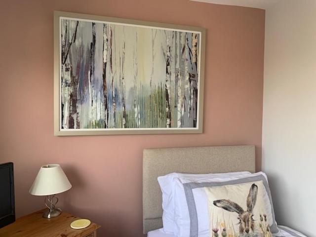 The Firs At Hay-On-Wye B&B Zewnętrze zdjęcie
